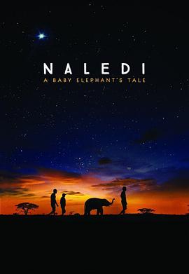 纳勒迪：一只小象的故事